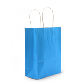 12x Cord Handle Paper Bag (16x22x8cm) - Blauw (130g)