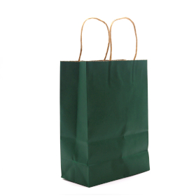 12x Cord Handle Paper Bag (16x22x8cm) - Groen (130g)