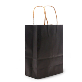 12x Cord Handle Paper Bag (16x22x8cm) - Zwart (130g)