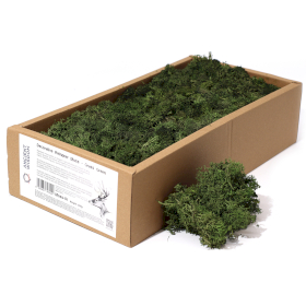 Kwaliteit Decor Rendiermos - Grasgroen - 500g Doos