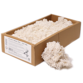 Kwaliteit Decor Rendiermos - Sneeuwwit - 500g Doos