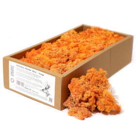 Kwaliteit Decor Rendiermos - Oranje - 500g Doos