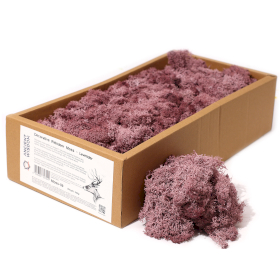 Kwaliteit Decor Rendiermos - Lavendel - 500g Doos