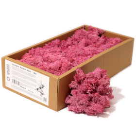 Kwaliteit Decor Rendiermos - Roze - 500g Doos