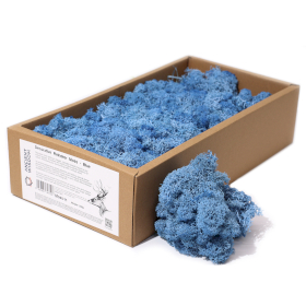 Kwaliteit Decor Rendiermos - Blauw - 500g Doos