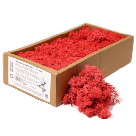 Kwaliteit Decor Rendiermos - Vuurrood - 500g Doos